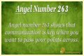 263 Angel Number Meaning - Pulptastic