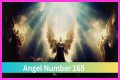 
ANGEL NUMBER 165
