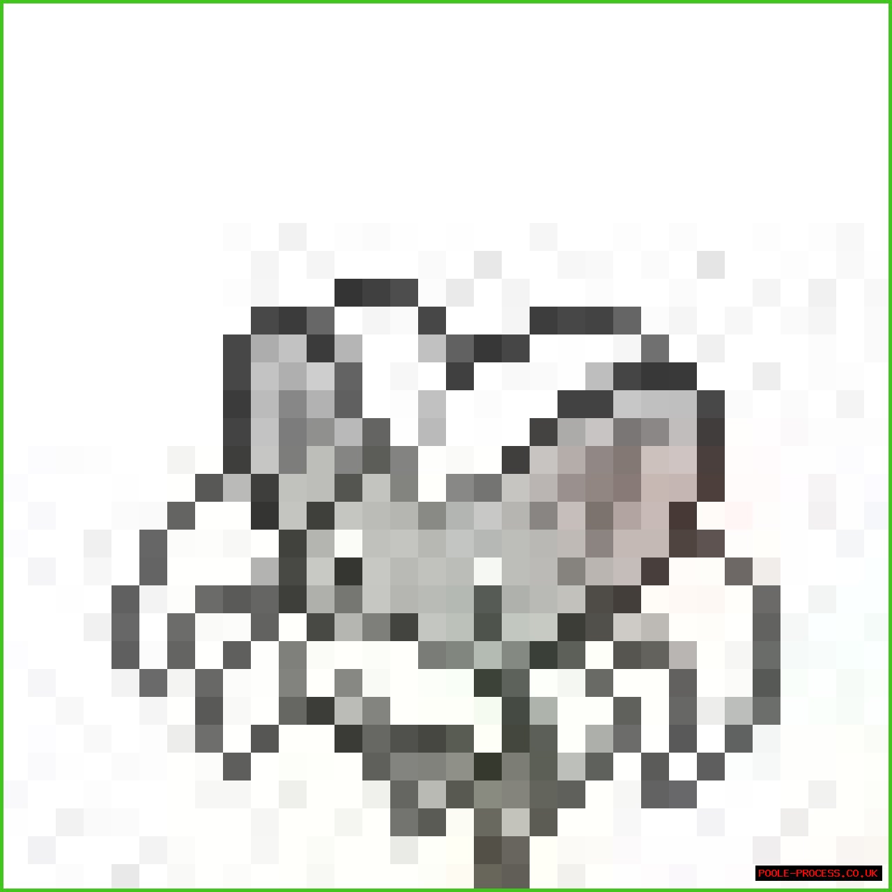 HTML