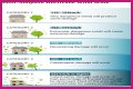 Hurricane Categories: What Categories 1, 2, 3, 4, 5, 6 Mean