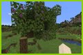 What is an Azalea Tree in Minecraft?