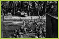 WWII's Most Daring Raids - Smithsonian Channel